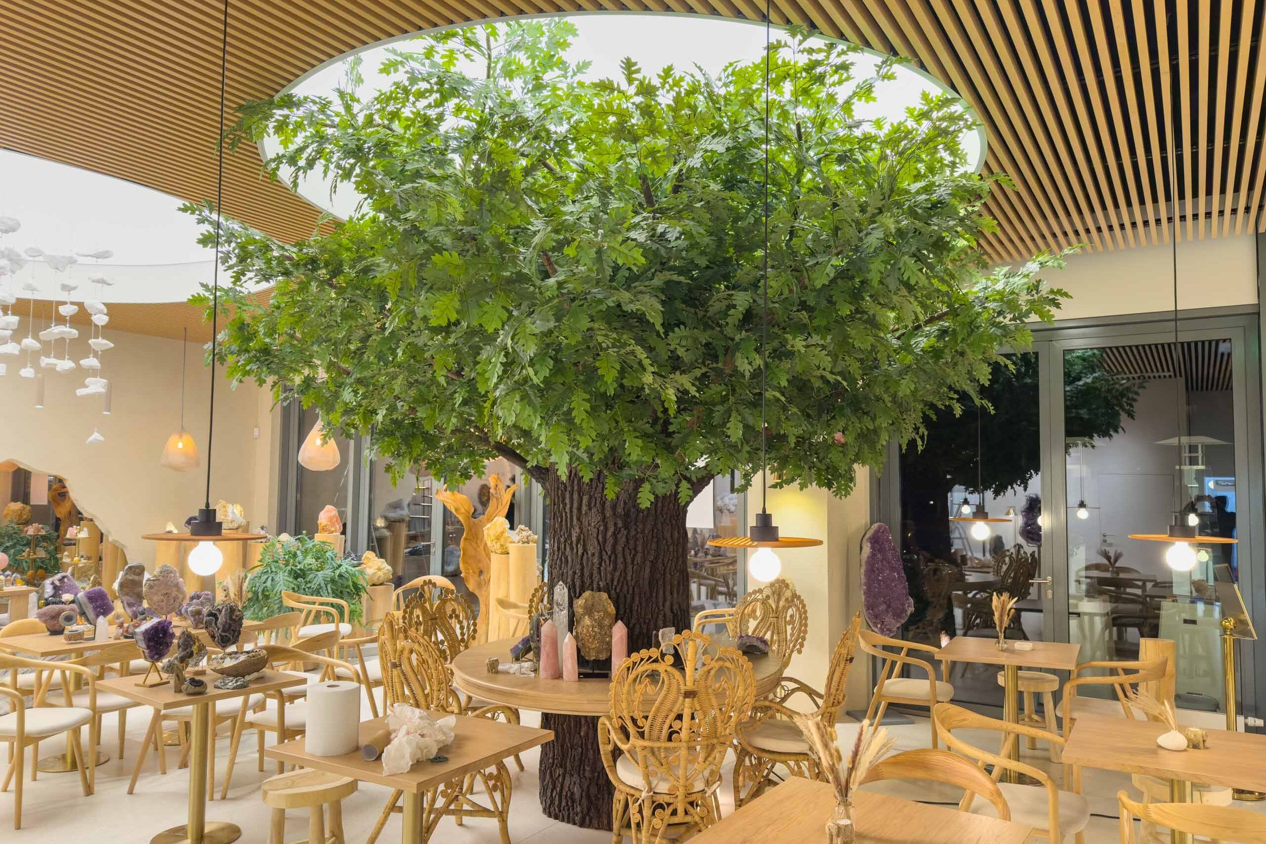 Dekoracje Restauracji Sztucznymi Drzewami